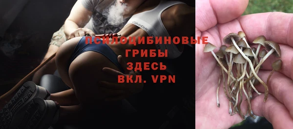 прущая мука Нея