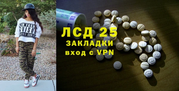 крисы Новозыбков