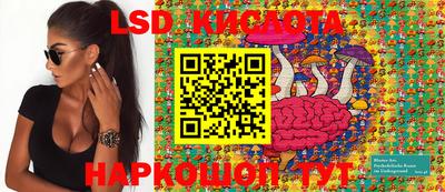 ешки Волгодонск
