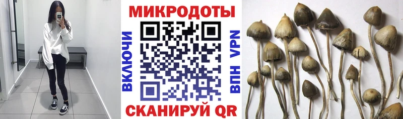 как найти   Сарапул  Галлюциногенные грибы мухоморы 