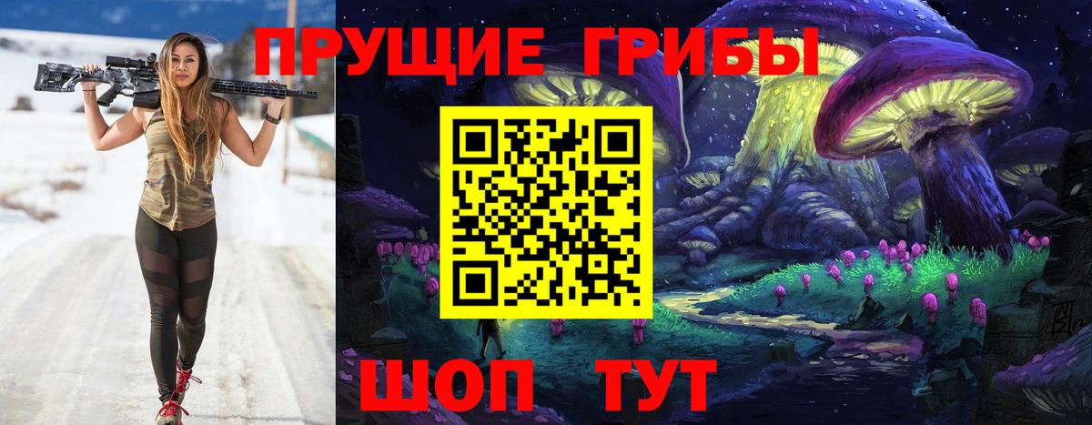 Галлюциногенные грибы Psilocybine cubensis  Псилоцибиновые грибы прущие грибы  Сарапул 